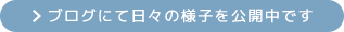 ブログにて日々の様子を公開中です